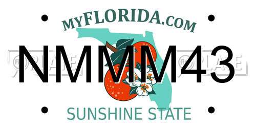 NMMM43 Florida License Plate