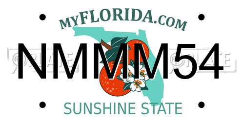 NMMM54 Florida License Plate