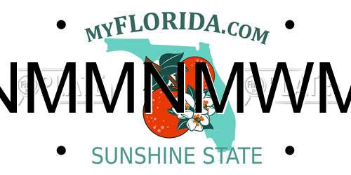 NMMNMWM Florida License Plate