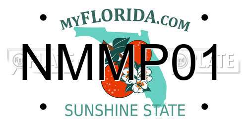 NMMP01 Florida License Plate