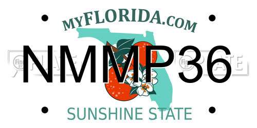 NMMP36 Florida License Plate