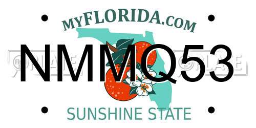 NMMQ53 Florida License Plate