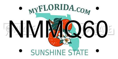 NMMQ60 Florida License Plate
