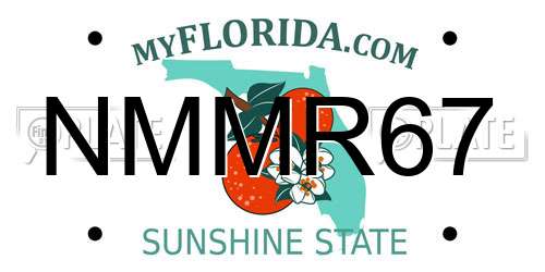 NMMR67 Florida License Plate