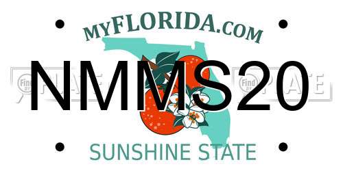 NMMS20 Florida License Plate