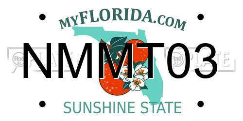 NMMT03 Florida License Plate