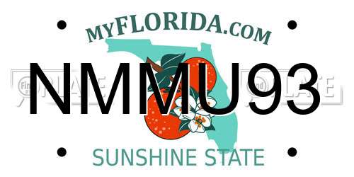 NMMU93 Florida License Plate