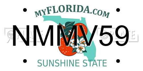 NMMV59 Florida License Plate