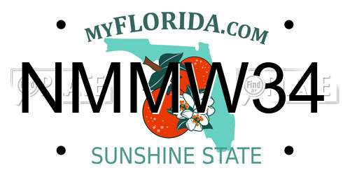 NMMW34 Florida License Plate