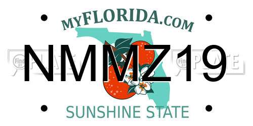 NMMZ19 Florida License Plate