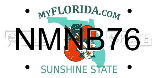 NMNB76 Florida License Plate