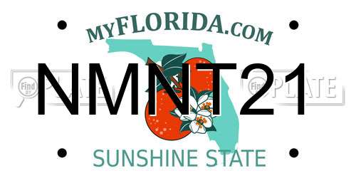 NMNT21 Florida License Plate