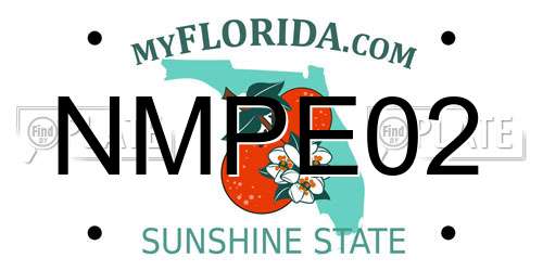 NMPE02 Florida License Plate