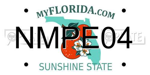 NMPE04 Florida License Plate