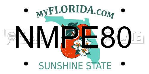 NMPE80 Florida License Plate