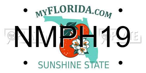 NMPH19 Florida License Plate