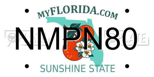 NMPN80 Florida License Plate