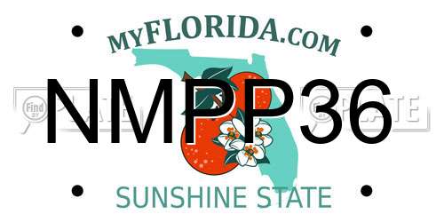 NMPP36 Florida License Plate