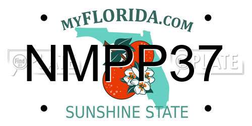 NMPP37 Florida License Plate