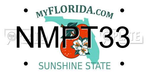 NMPT33 Florida License Plate