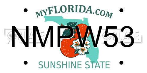 NMPW53 Florida License Plate