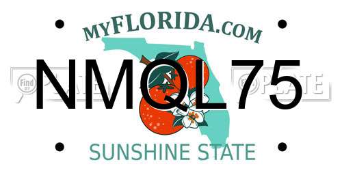 NMQL75 Florida License Plate