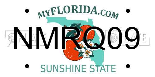 NMRQ09 Florida License Plate