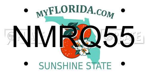 NMRQ55 Florida License Plate