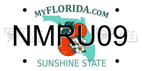 NMRU09 Florida License Plate