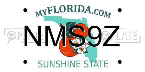 NMS9Z Florida License Plate