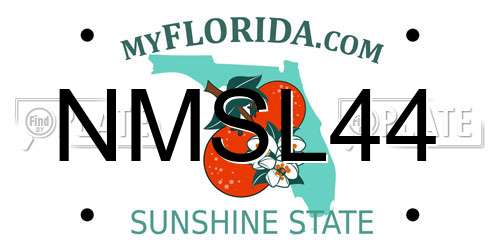 NMSL44 Florida License Plate