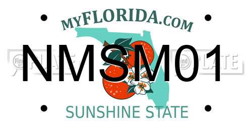 NMSM01 Florida License Plate