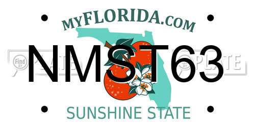 NMST63 Florida License Plate