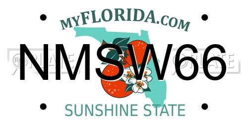 NMSW66 Florida License Plate