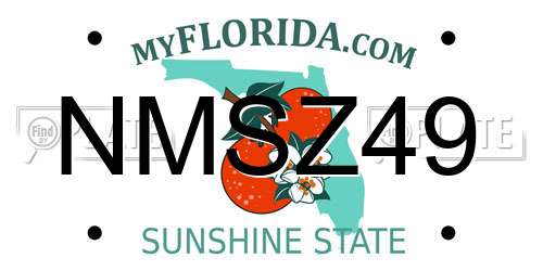 NMSZ49 Florida License Plate