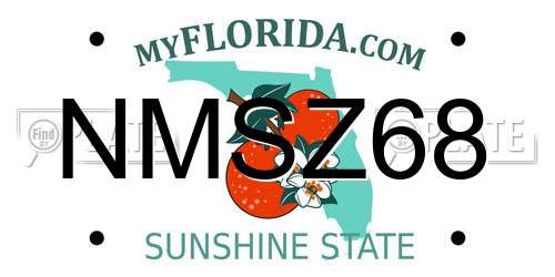 NMSZ68 Florida License Plate