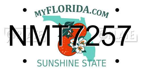 NMT7257 Florida License Plate