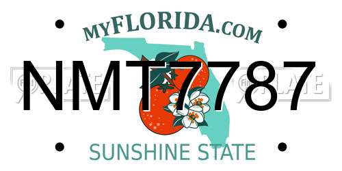 NMT7787 Florida License Plate