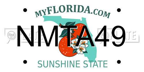 NMTA49 Florida License Plate