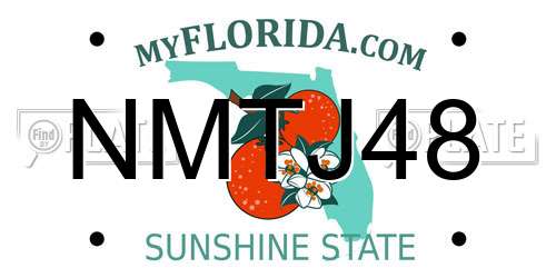 NMTJ48 Florida License Plate