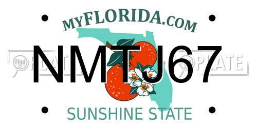 NMTJ67 Florida License Plate
