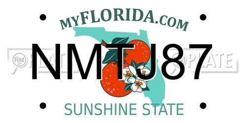 NMTJ87 Florida License Plate