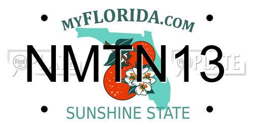 NMTN13 Florida License Plate
