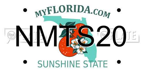 NMTS20 Florida License Plate