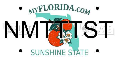 NMTTTST Florida License Plate