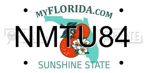 NMTU84 Florida License Plate