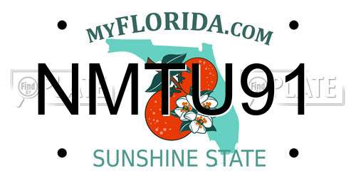 NMTU91 Florida License Plate