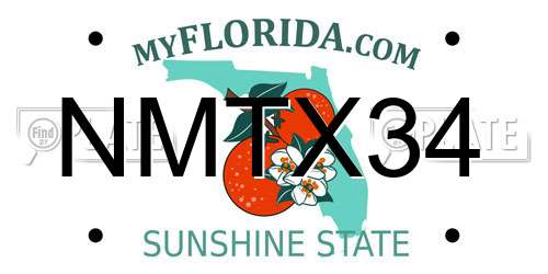 NMTX34 Florida License Plate