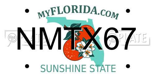 NMTX67 Florida License Plate