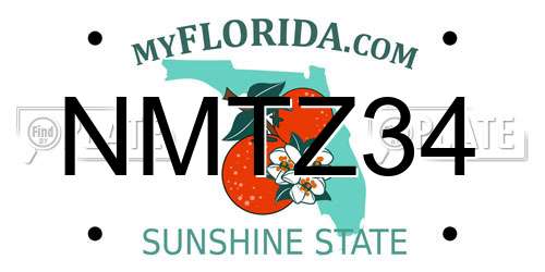 NMTZ34 Florida License Plate